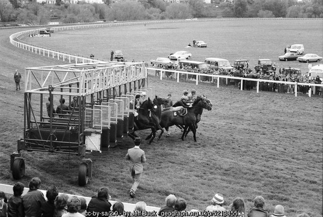Chester Races in 1977